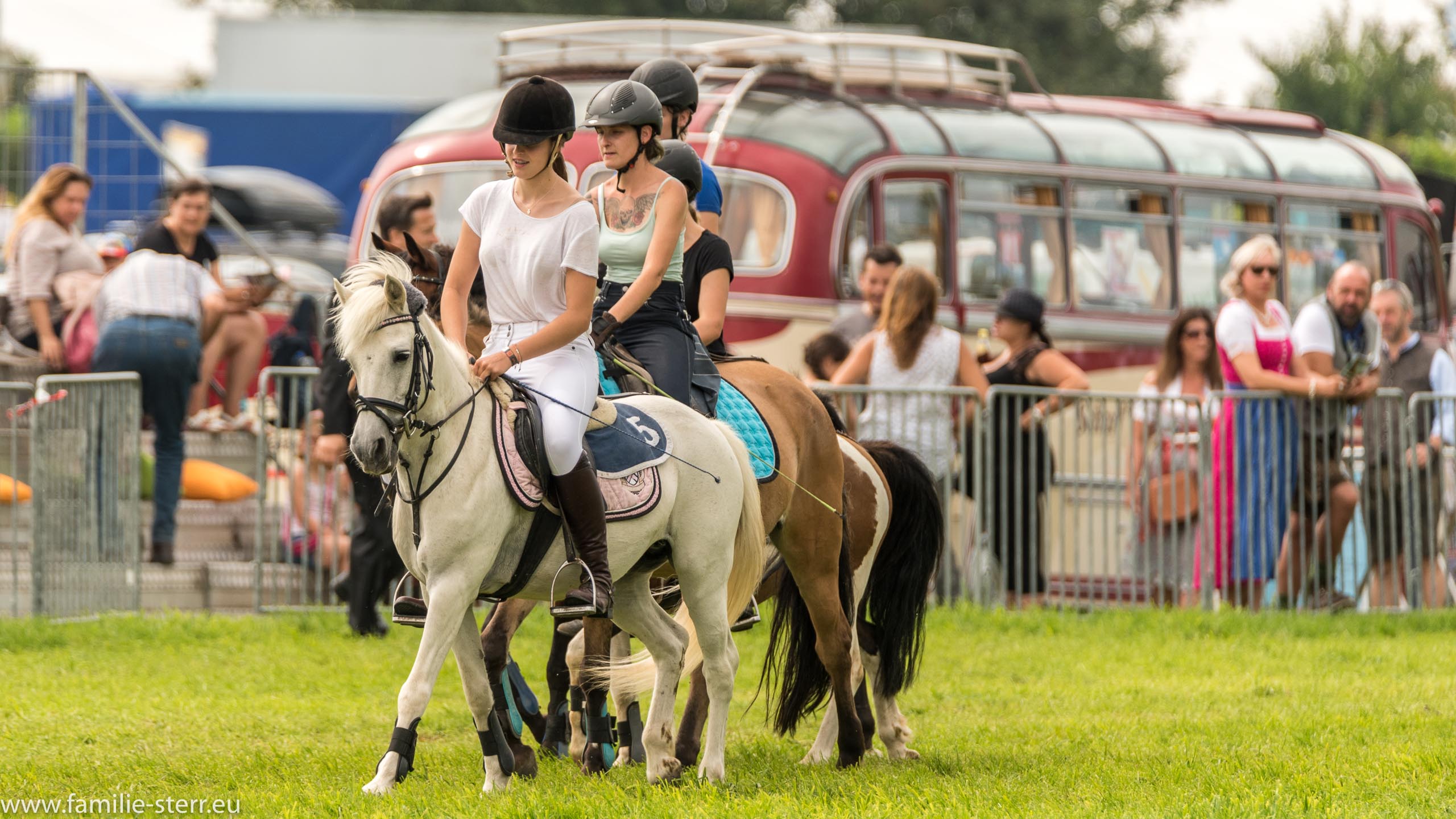 Trabrennen in Erding 2017